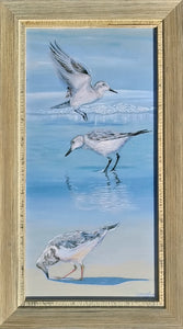 Sandpipers & Bubbles - Framed Print - dkgriffinart